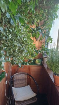 2-к квартира, 5/5 эт., 43м²