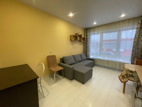 Студия, 2/17 эт., 24м²